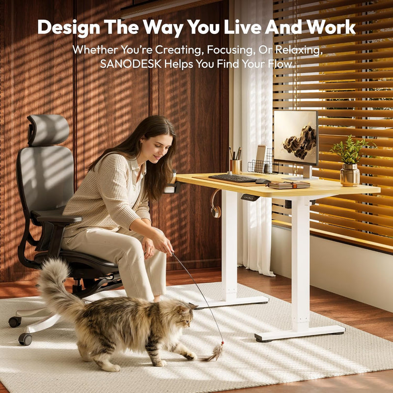 Electric Standing Desk Height Adjustable