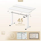 Electric Standing Desk Height Adjustable with 2