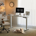 Electric Standing Desk Height Adjustable with 2