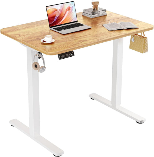 Electric Standing Desk 2 Memory Heights