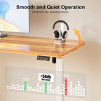 Electric Standing Desk Height Adjustable with Memory