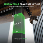 Electric Standing Desk Height Adjustable with Memory