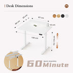 Electric Standing Desk LED Plug Movable Monitorstand