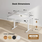 Electric Standing Desk LED Plug Movable Monitorstand