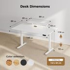 Electric Standing Desk LED Plug Movable Monitorstand