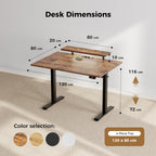 Electric Standing Desk LED Plug Movable Monitorstand