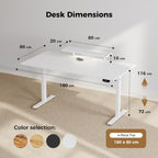 Electric Standing Desk LED Plug Movable Monitorstand