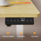 Electric Standing Desk Oak