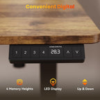 Electric Standing Desk Oak