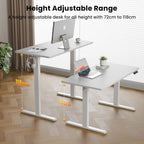 Electric Standing Desk Oak