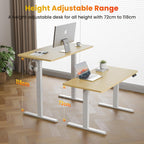Electric Standing Desk Oak