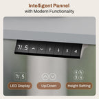 Electric Standing Desk One Piece