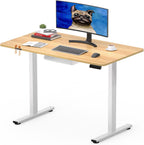 Electric Standing Desk One Piece