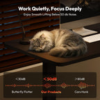 Electric Standing Desk One Piece