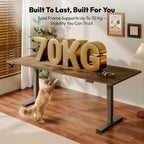 Electric Standing Desk One Piece