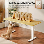 Electric Standing Desk One Piece
