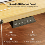 Electric Standing Desk One Piece