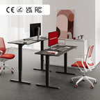 Electric Standing Desk One Piece