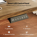 Electric Standing Desk One Piece