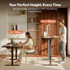Electric Standing Desk One Piece