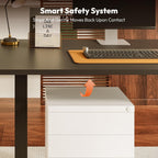 Electric Standing Desk 110 X 54 One Piece