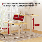 Electric Standing Desk One Piece