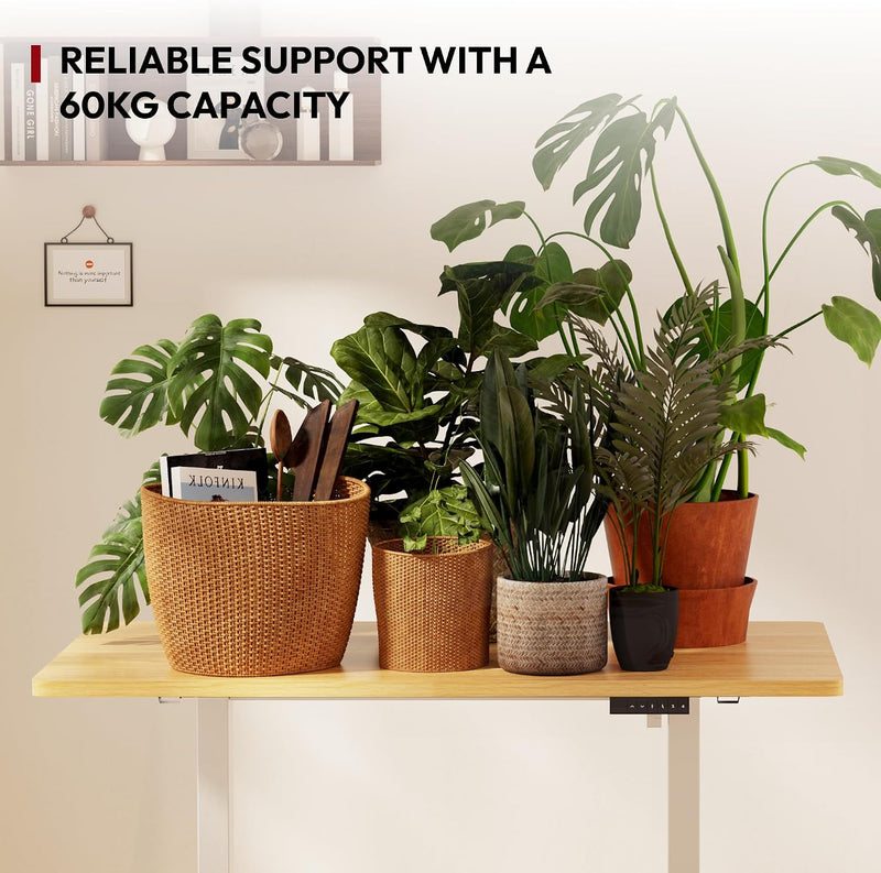 Electric Standing Desk One Piece