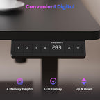 Electric Standing Desk Rustic