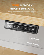 Electric Standing Desk- -100KG