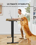 Electric Standing Desk Height Adjustable