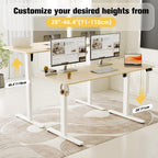 Electric Height Adjustable Standing Desk Sit Stand
