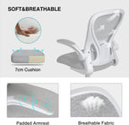 Ergonomic Desk Chair Flip-Up Armrest Mesh with Lumbar