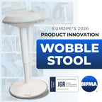 Ergonomic Desk Stool for Office Height Adjustable Wobble