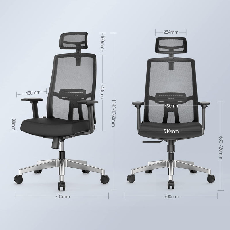 Ergonomic Mesh Home Office Chair with Back Support