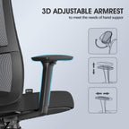 Ergonomic Mesh Home Office Chair with Back Support