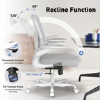 Ergonomic Mesh Office Chair with Adjustable Lumbar Support