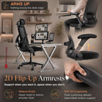 Ergonomic Office Chair 3d Armrests and 2d Lumbar
