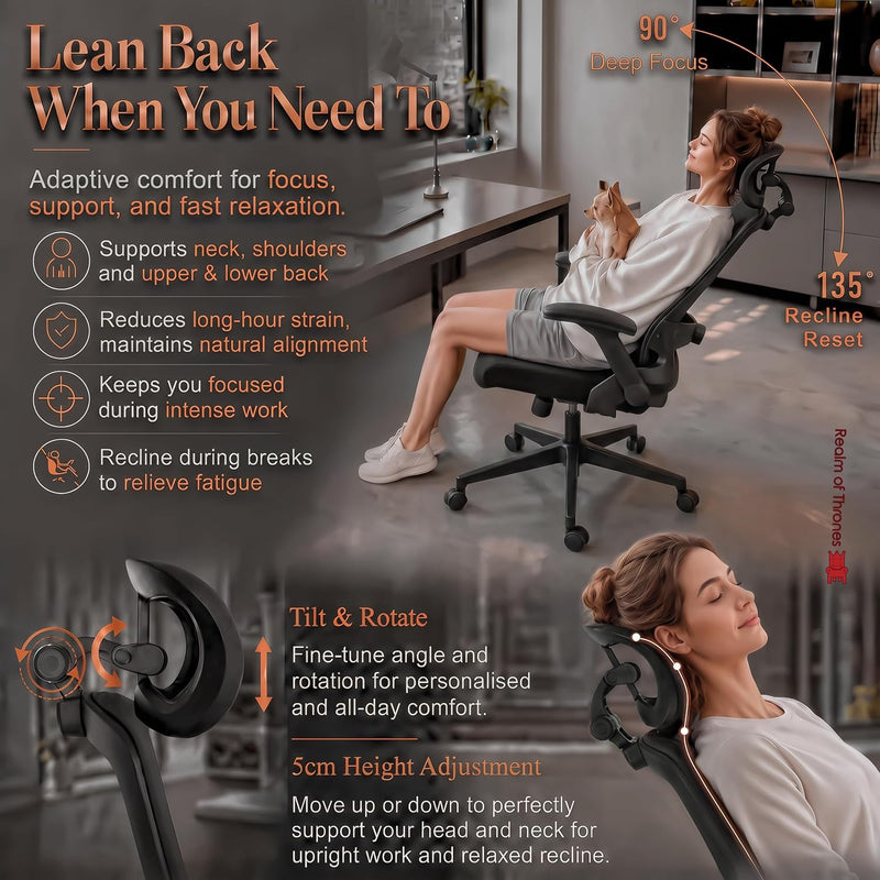 Ergonomic Office Chair 3d Armrests and 2d Lumbar