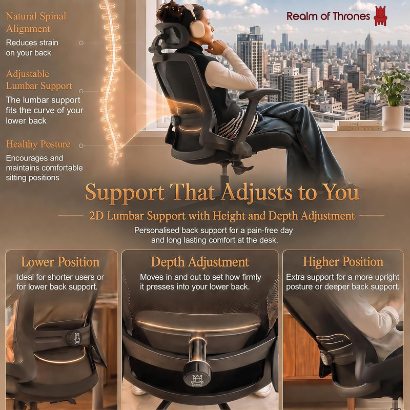 Ergonomic Office Chair 3d Armrests and 2d Lumbar