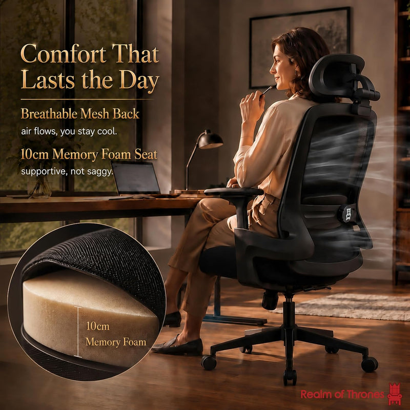 Ergonomic Office Chair 3d Armrests and 2d Lumbar