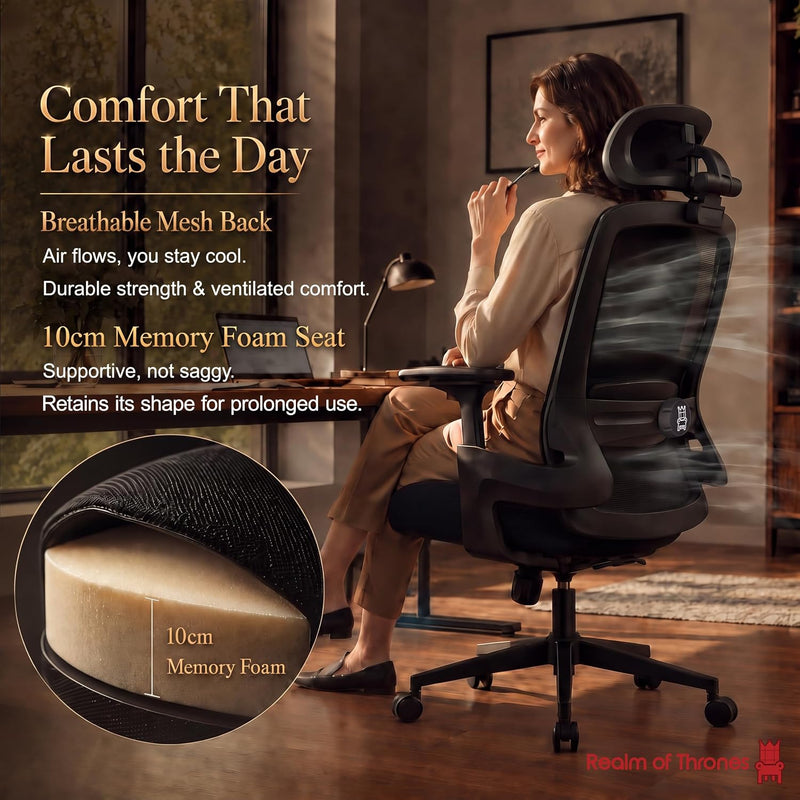 Ergonomic Office Chair 3d Armrests and 2d Lumbar