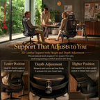 Ergonomic Office Chair 3d Armrests and 2d Lumbar