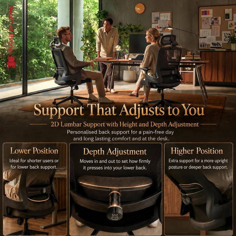 Ergonomic Office Chair 3d Armrests and 2d Lumbar