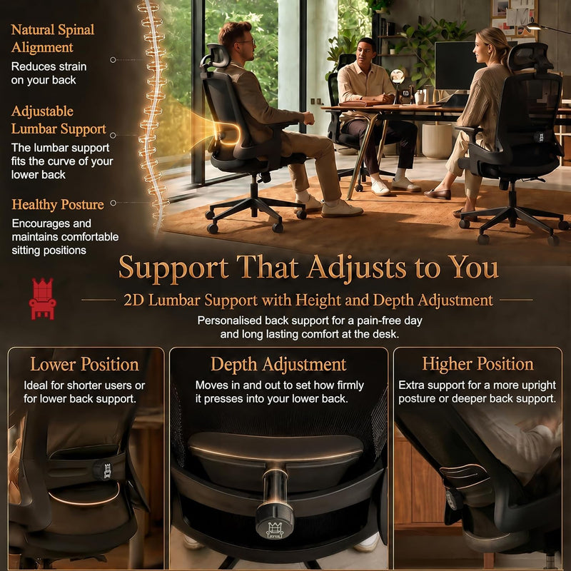Ergonomic Office Chair 3d Armrests and 2d Lumbar