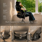 Ergonomic Office Chair Back Support and Long Hours