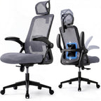 Ergonomic Office Chair Back Support and Long Hours