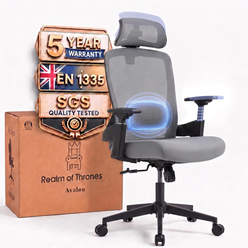 Ergonomic Office Chair Back Support and Long Hours