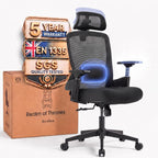 Ergonomic Office Chair Back Support and Long Hours