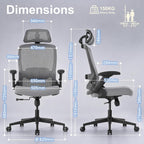 Ergonomic Office Chair Back Support and Long Hours