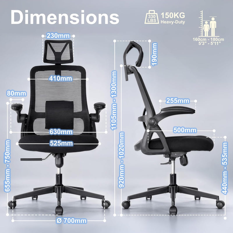 Ergonomic Office Chair Back Support and Long Hours